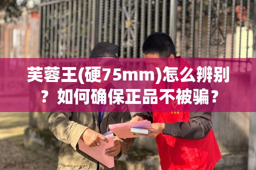 芙蓉王(硬75mm)怎么辨别？如何确保正品不被骗？